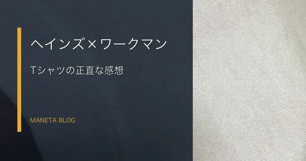 ヘインズとワークマンのTシャツを着た感想のアイキャッチ