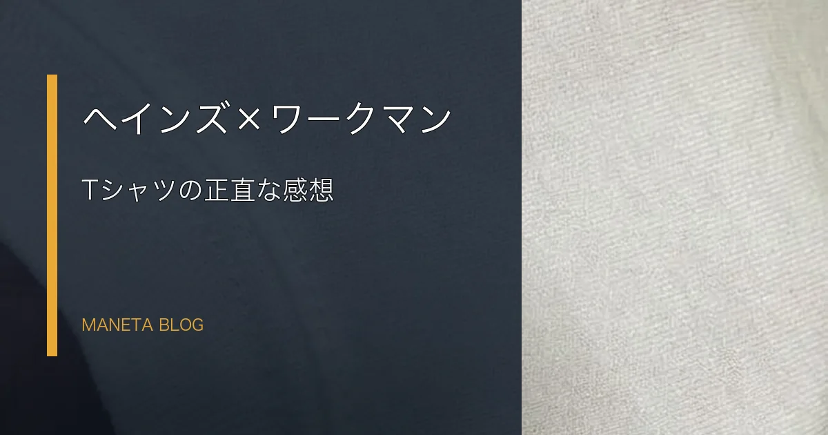 ヘインズとワークマンのTシャツを着た感想のアイキャッチ