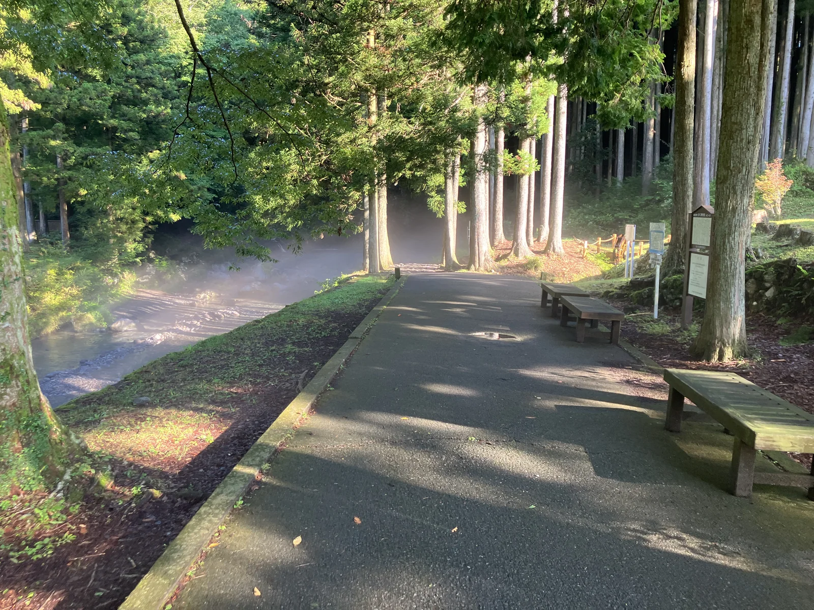陣馬の滝へ続く木々に囲まれた遊歩道