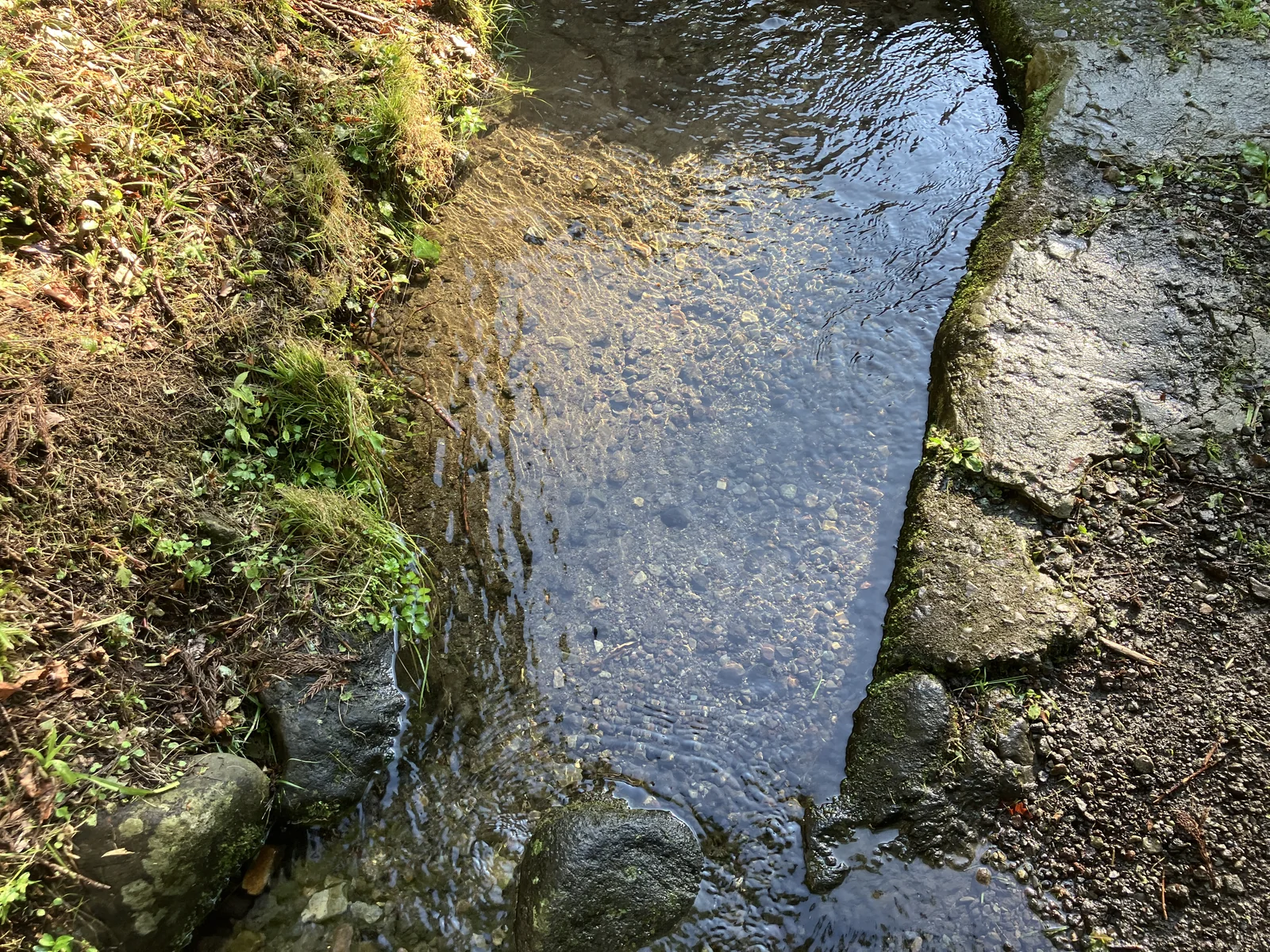 陣馬の滝を流れる透明な水