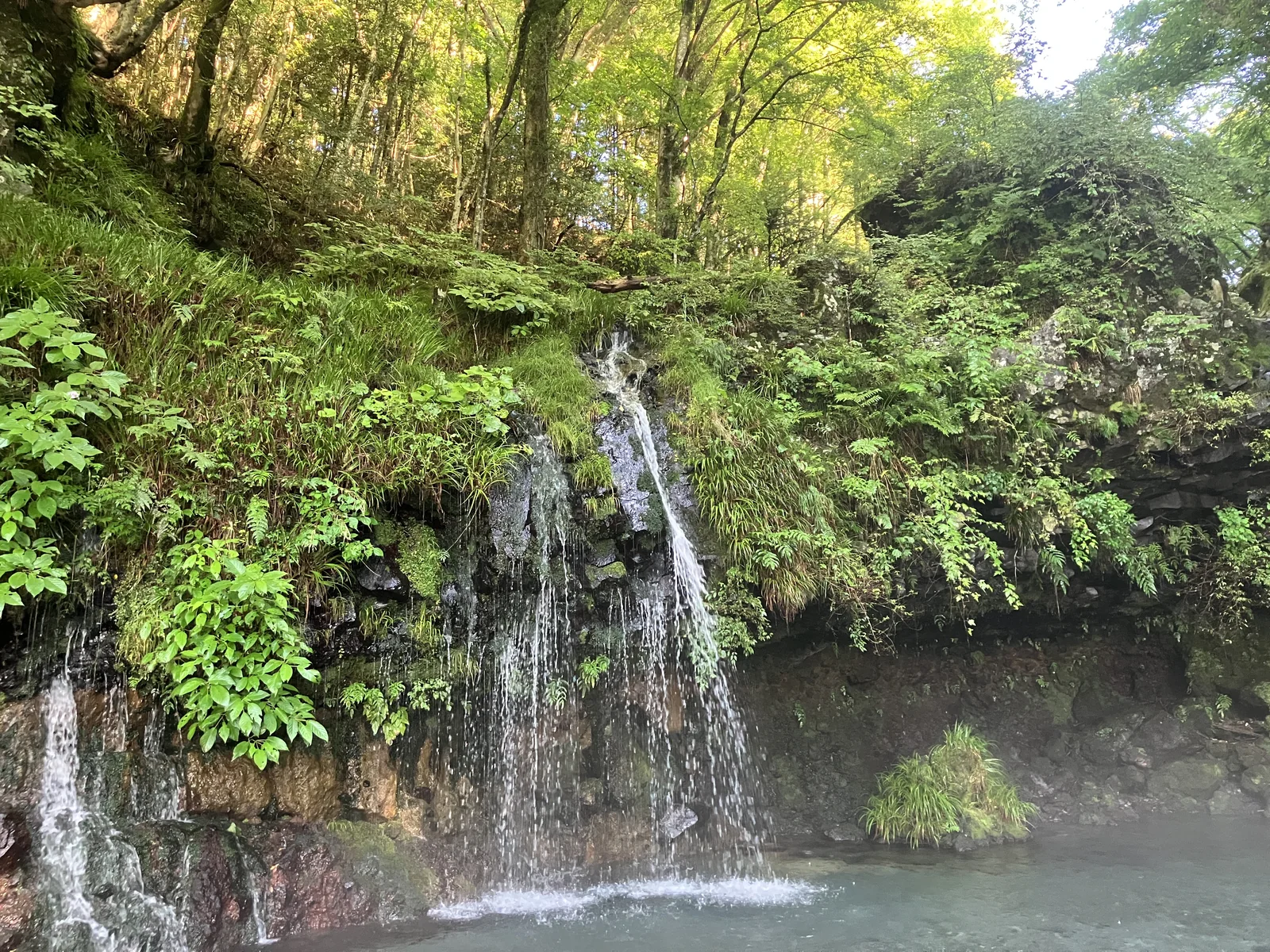 木々に囲まれて流れる陣馬の滝