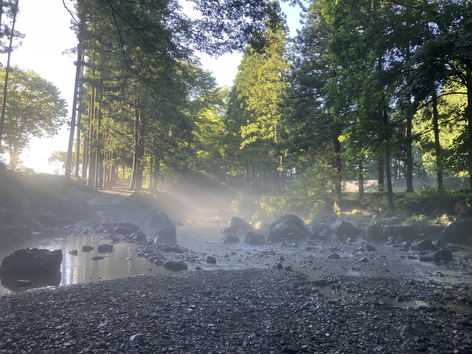 朝日が差し込む陣馬の滝の川辺
