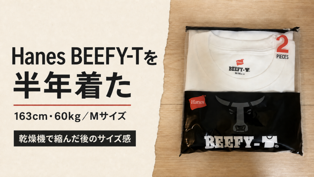Hanes BEEFY-Tを半年着た感想と乾燥機後のサイズ感