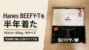 Hanes BEEFY-Tを半年着た感想と乾燥機後のサイズ感