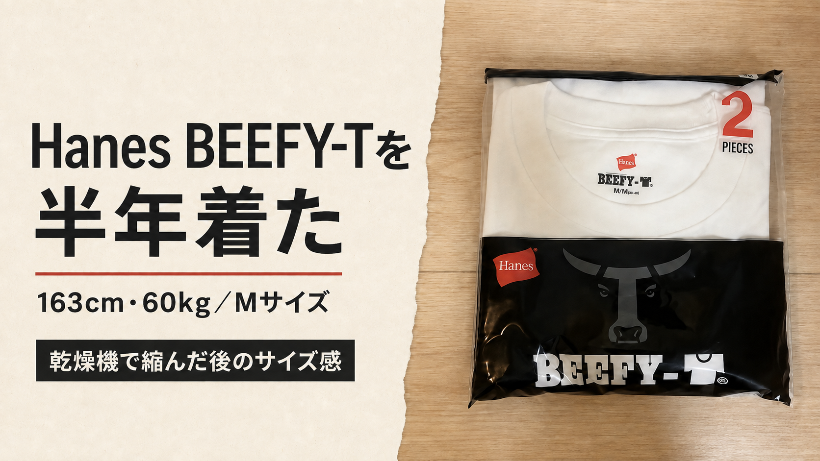 Hanes BEEFY-Tを半年着た感想と乾燥機後のサイズ感